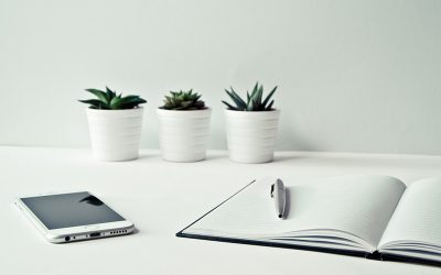 Mon aventure entrepreneuriale : une histoire de persévérance